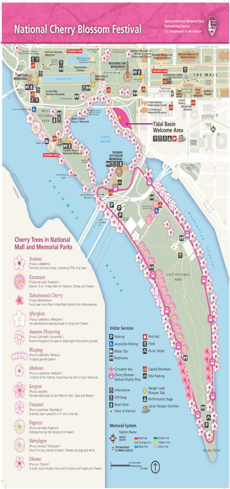 The National Cherry Blossom Festival 2018 A Quick Guide A Traveling