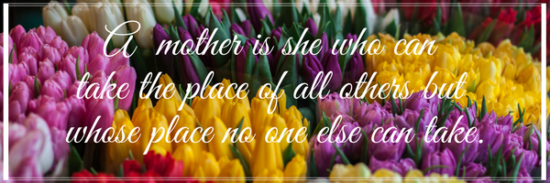 a mother is she who can take the place of all others but whose place no one else can take.